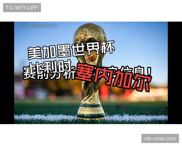 2026世界杯比利时对阵塞内加尔:32强淘汰赛对阵回顾 2026世界杯比利时对阵塞内加尔:32强淘汰赛对阵回顾